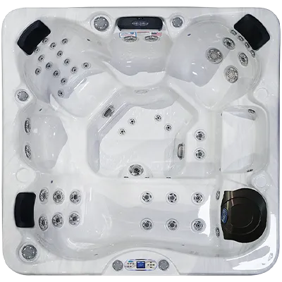 Avalon EC-849L hot tubs for sale in Champaign