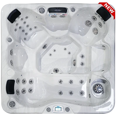 Avalon-X EC-849LX hot tubs for sale in Champaign