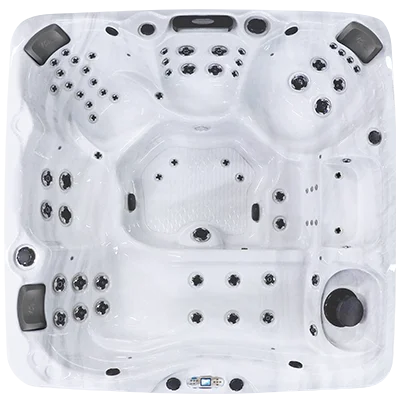 Avalon EC-867L hot tubs for sale in Champaign