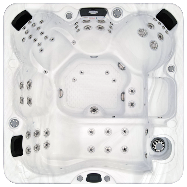 Avalon-X EC-867LX hot tubs for sale in Champaign
